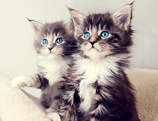 學(xué)習(xí)CAD!每天五個(gè)小技巧!這個(gè)系列趕快收藏!